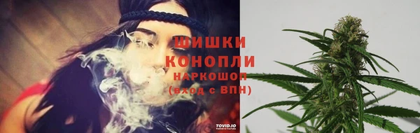 мяу мяу мука Ростов