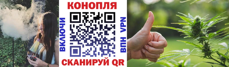 Канабис гибрид Гудермес